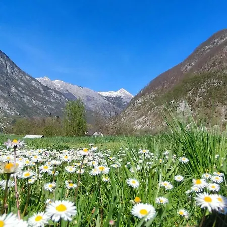 Apartma Soca Oasis Apartman *