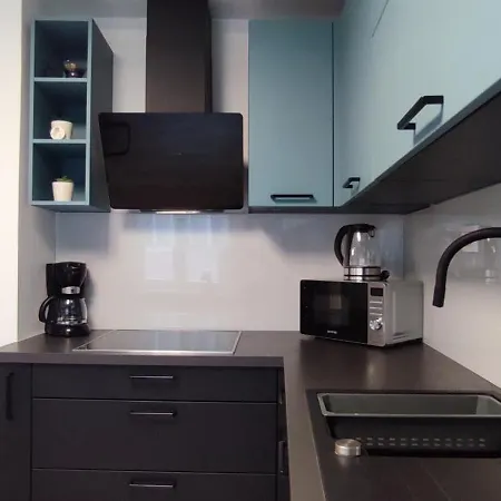 Apartma Soca Oasis *