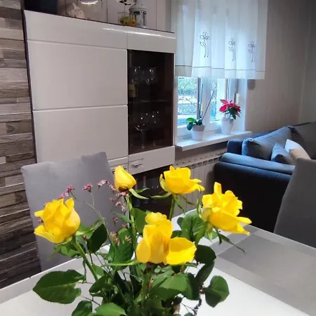 Apartma Soca Oasis