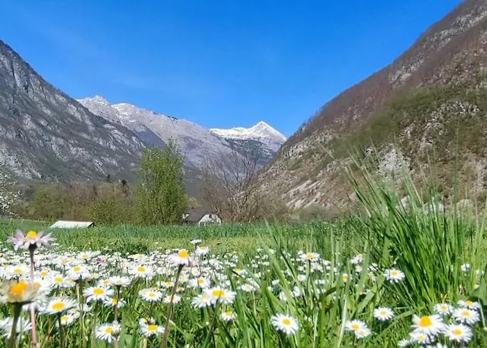 Apartma Soca Oasis Daire *