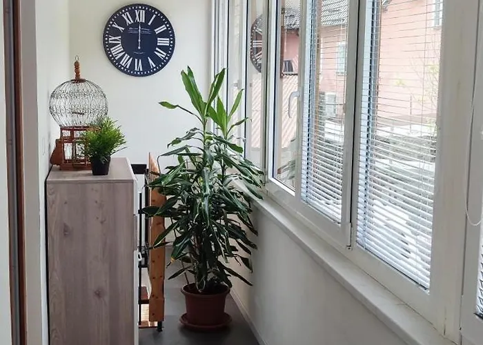 Apartma Soca Oasis *