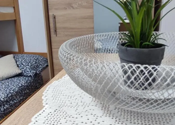 Apartma Soca Oasis 公寓